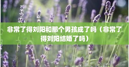 非常了得刘阳和那个男孩成了吗（非常了得刘阳结婚了吗）