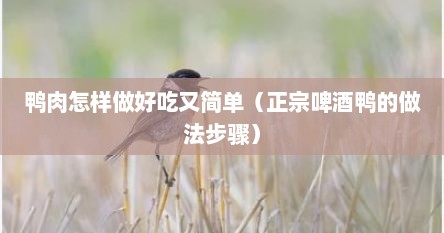 鸭肉怎样做好吃又简单（正宗啤酒鸭的做法步骤）