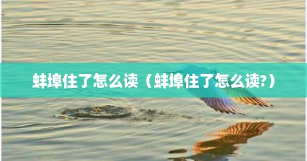 蚌埠住了怎么读（蚌埠住了怎么读?）