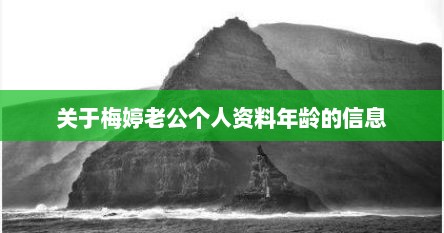 关于梅婷老公个人资料年龄的信息
