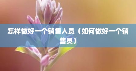 怎样做好一个销售人员（如何做好一个销售员）