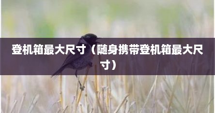 登机箱最大尺寸（随身携带登机箱最大尺寸）