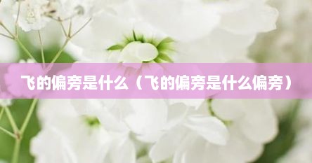 飞的偏旁是什么（飞的偏旁是什么偏旁）