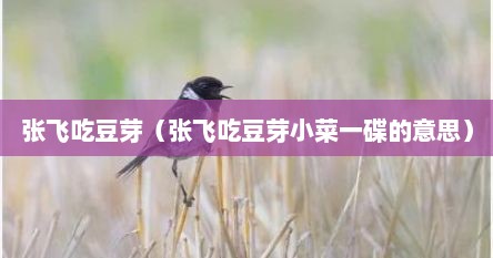 张飞吃豆芽（张飞吃豆芽小菜一碟的意思）