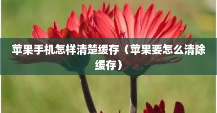苹果手机怎样清楚缓存（苹果要怎么清除缓存）