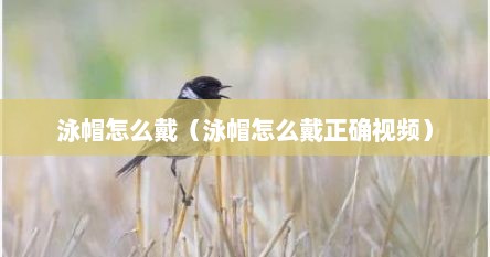 泳帽怎么戴（泳帽怎么戴正确视频）