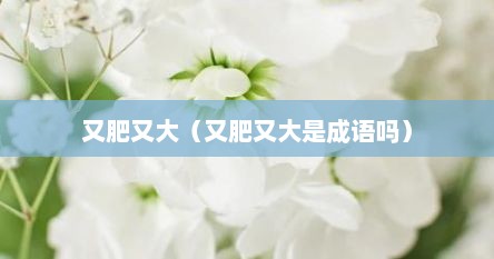 又肥又大（又肥又大是成语吗）