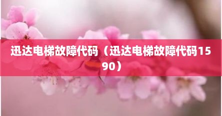 迅达电梯故障代码（迅达电梯故障代码1590）