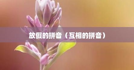 放假的拼音（互相的拼音）