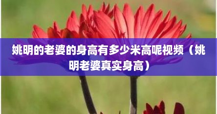 姚明的老婆的身高有多少米高呢视频（姚明老婆真实身高）