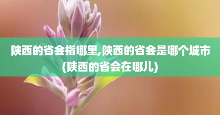 陕西的省会指哪里,陕西的省会是哪个城市(陕西的省会在哪儿)