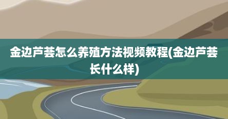 金边芦荟怎么养殖方法视频教程(金边芦荟长什么样)