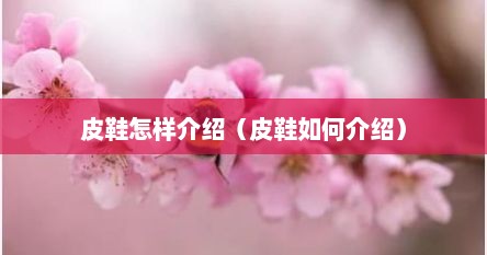 皮鞋怎样介绍（皮鞋如何介绍）