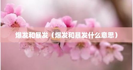 爆发和暴发（爆发和暴发什么意思）