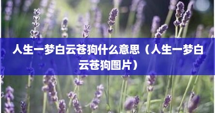 人生一梦白云苍狗什么意思（人生一梦白云苍狗图片）