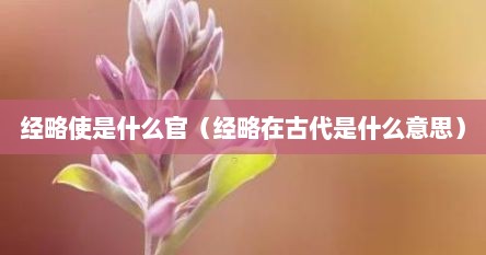 经略大臣相当于现在什么官（经略使是文官还是武官）