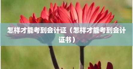 怎样才能考到会计证（怎样才能考到会计证书）