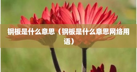 钢板是什么意思（钢板是什么意思网络用语）