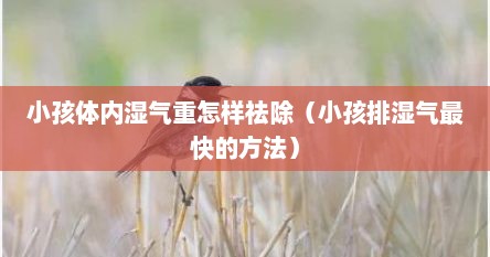 小孩体内湿气重怎样祛除（小孩排湿气最快的方法）