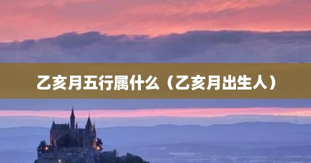 乙亥月五行属什么（乙亥月出生人）