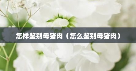 怎样鉴别母猪肉（怎么鉴别母猪肉）