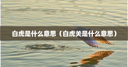 白虎是什么意思（白虎关是什么意思）
