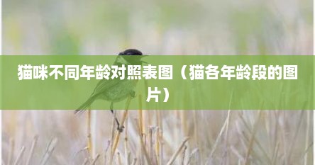 猫咪不同年龄对照表图（猫各年龄段的图片）