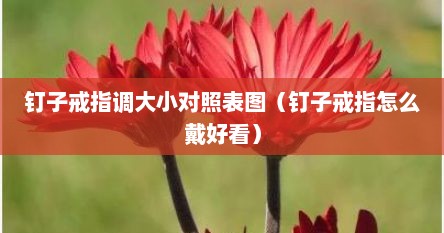 钉子戒指调大小对照表图（钉子戒指怎么戴好看）