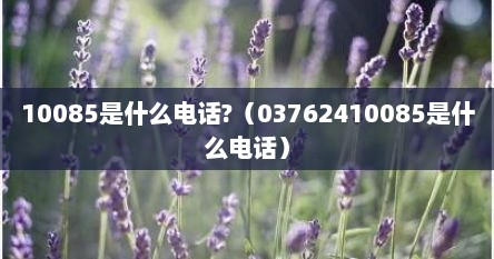 10085是什么电话?（03762410085是什么电话）