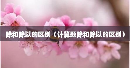 除和除以的区别（计算题除和除以的区别）