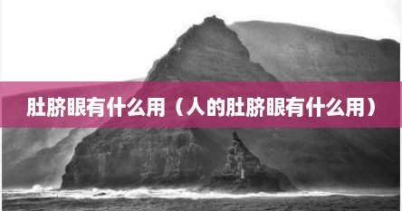 肚脐眼有什么用（人的肚脐眼有什么用）