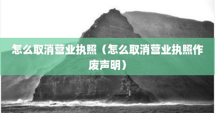 怎么取消营业执照（怎么取消营业执照作废声明）
