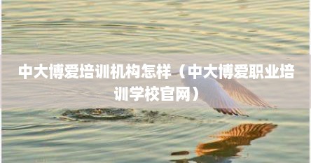 中大博爱培训机构怎样（中大博爱职业培训学校官网）