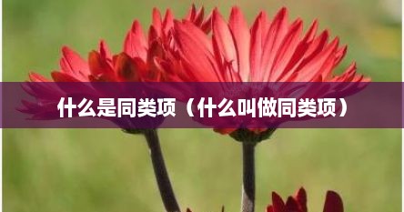 什么是同类项（什么叫做同类项）