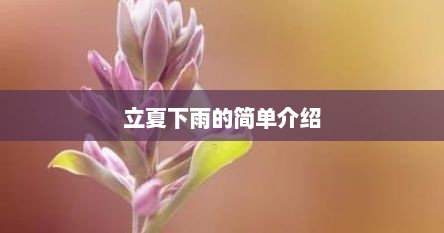 立夏下雨的简单介绍
