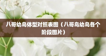 八哥幼鸟体型对照表图（八哥鸟幼鸟各个阶段图片）