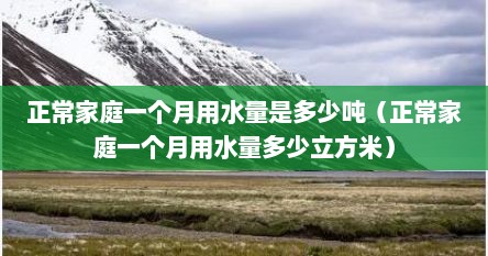 正常家庭一个月用水量是多少吨（正常家庭一个月用水量多少立方米）