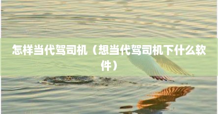 怎样当代驾司机（想当代驾司机下什么软件）