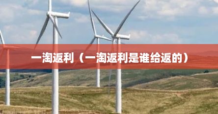 一淘返利（一淘返利是谁给返的）