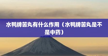 水鸭牌苦丸有什么作用（水鸭牌苦丸是不是中药）