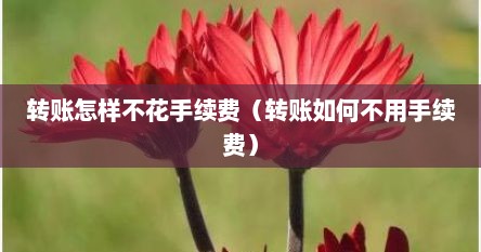 转账怎样不花手续费（转账如何不用手续费）