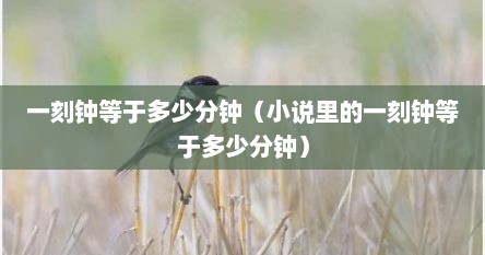 一刻钟等于多少分钟（小说里的一刻钟等于多少分钟）