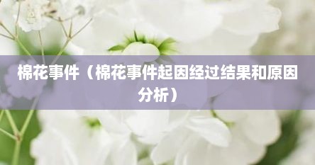 棉花事件（棉花事件起因经过结果和原因分析）