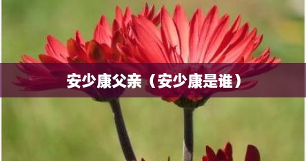 安少康父亲(安少康是谁) 安少康父亲(安少康是谁)