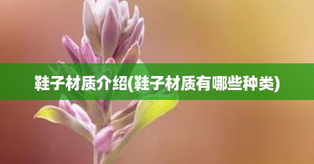 鞋子材质介绍(鞋子材质有哪些种类)