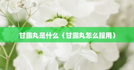 甘露丸是什么（甘露丸怎么服用）