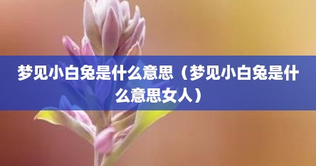 梦见小白兔是什么意思（梦见小白兔是什么意思女人）