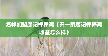 怎样加盟廖记棒棒鸡（开一家廖记棒棒鸡收益怎么样）