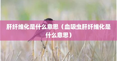 肝纤维化是什么意思（血吸虫肝纤维化是什么意思）