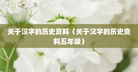 关于汉字的历史资料（关于汉字的历史资料五年级）